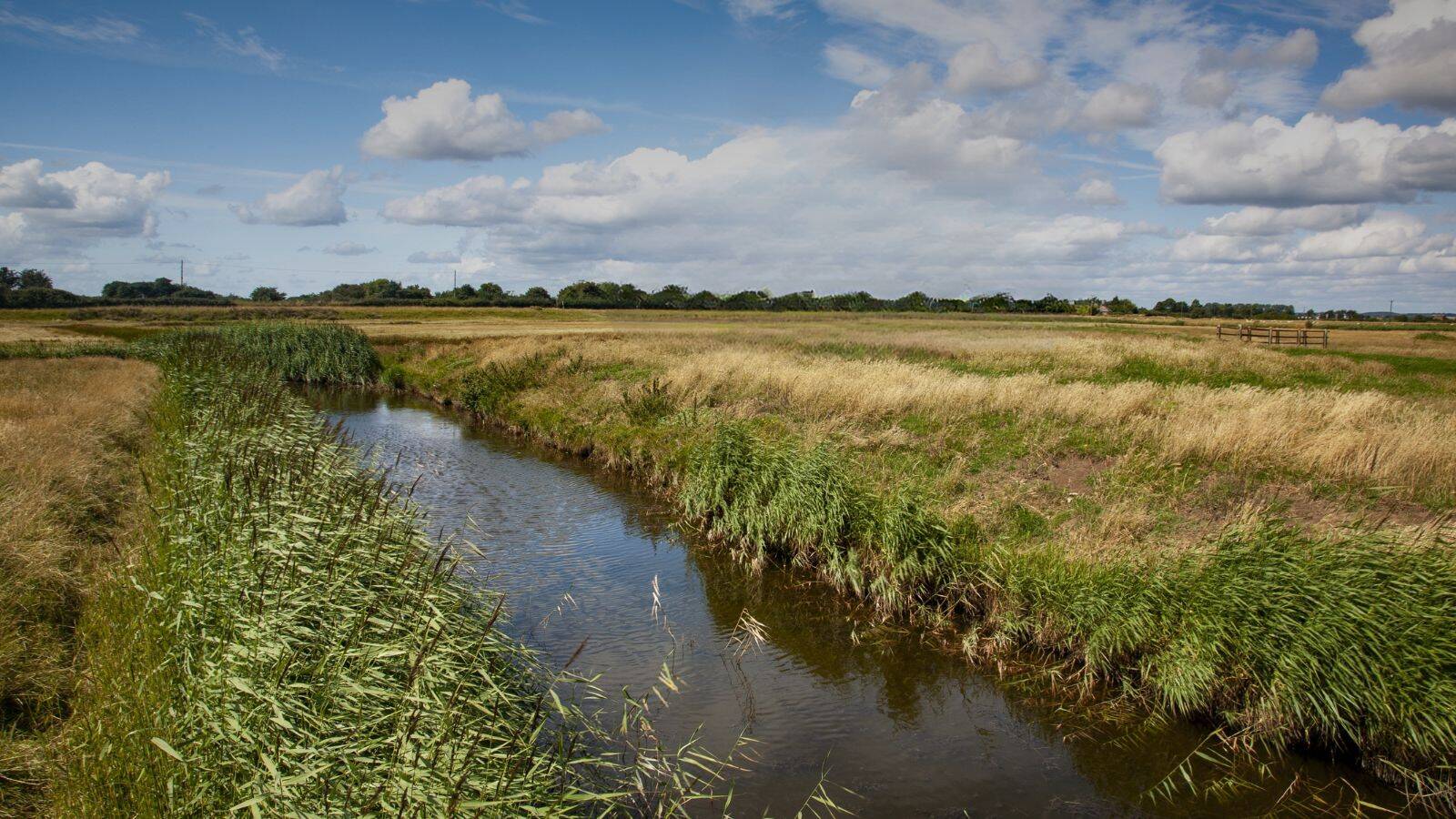 polder-sebastopol